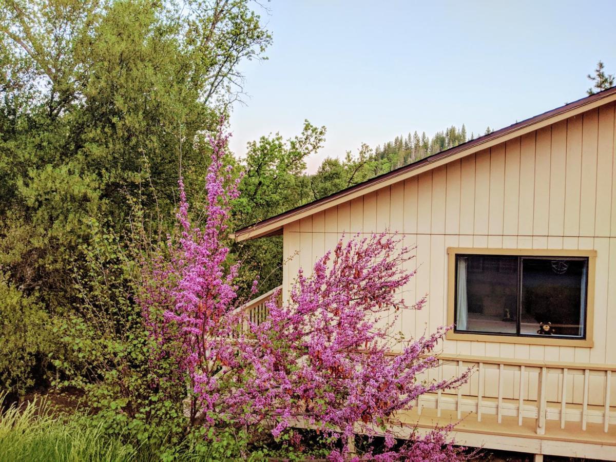 Yosemite Haven @ Pine Mountain Lake. Dog Friendly! 그로블런드 외부 사진